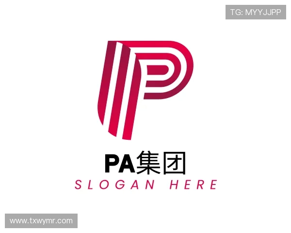 发现PA集团